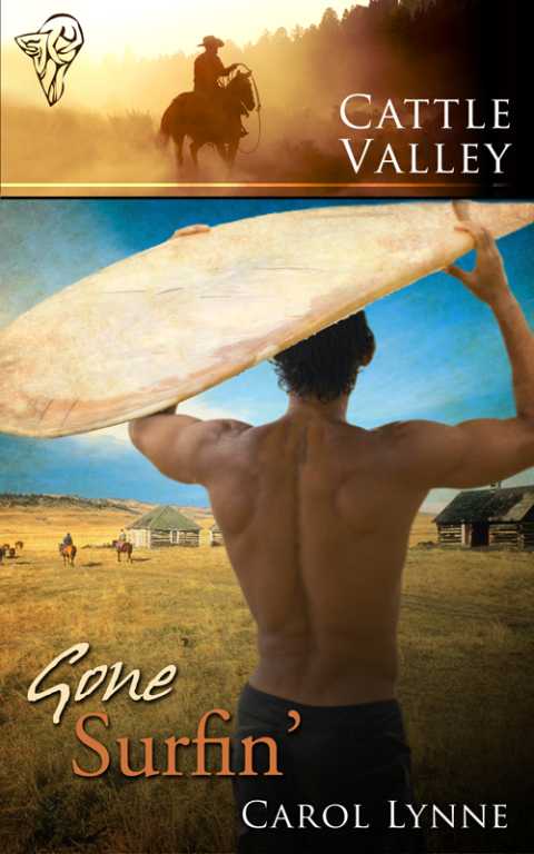 Cover image for book Gone Surfin'