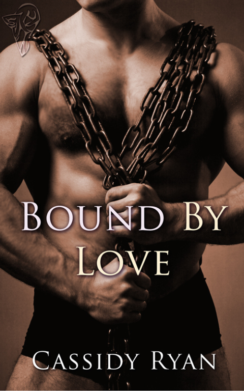Cover image for book Bound by Love