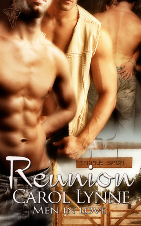 Cover image for book Reunion