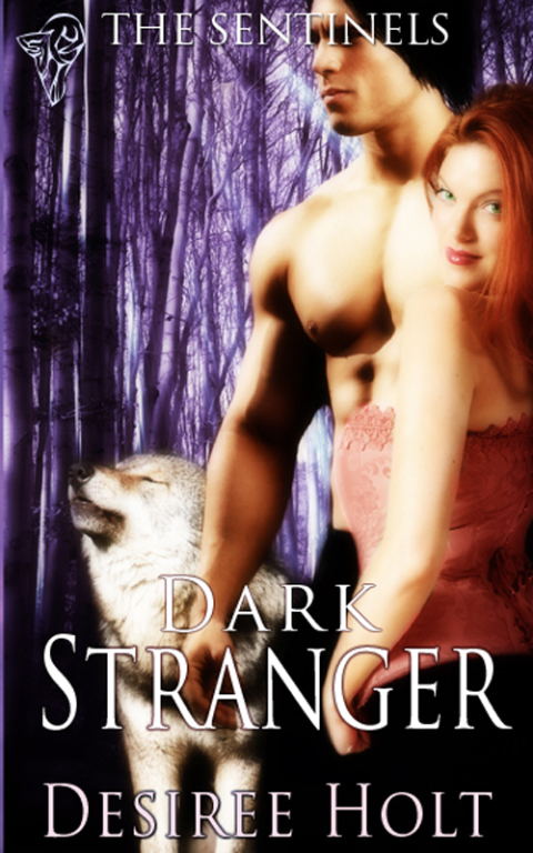 Cover image for book Dark Stranger