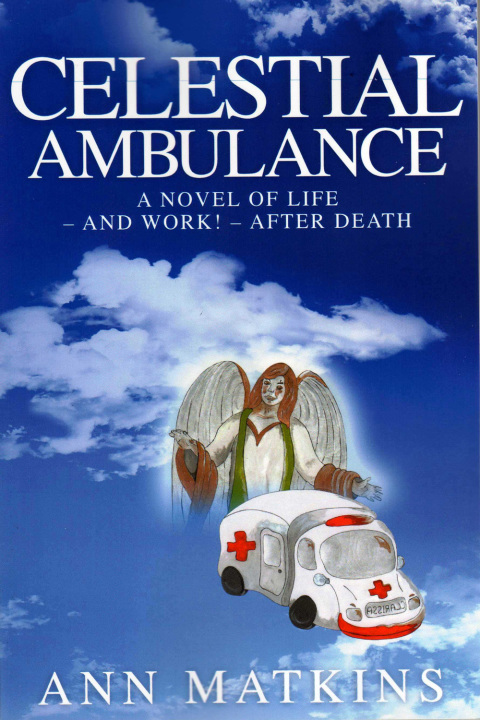 Cover image for book Celestial Ambulance