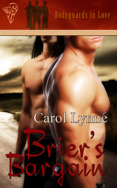 Cover image for book Brier's Bargain