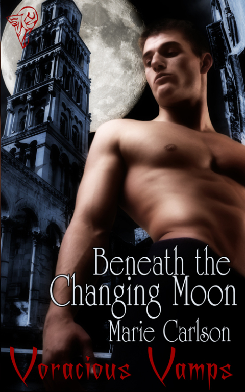Cover image for book Beneath the Changing Moon