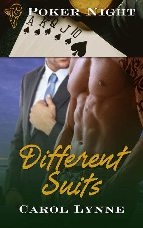 Cover image for book Different Suits