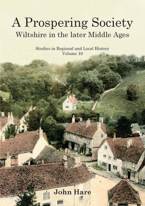Cover image for book A Prospering Society