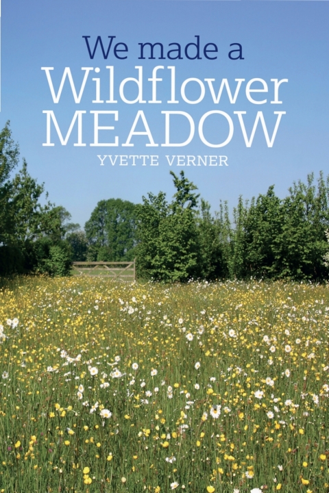 We Made a Wildflower Meadow 