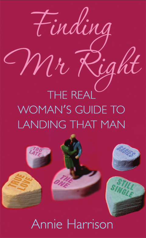 Cover image for book Finding Mr Right
