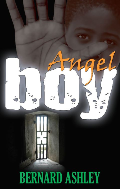 Cover image for book Angel Boy