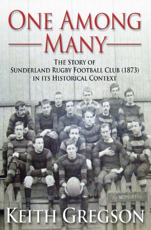 Cover image for book One Among Many