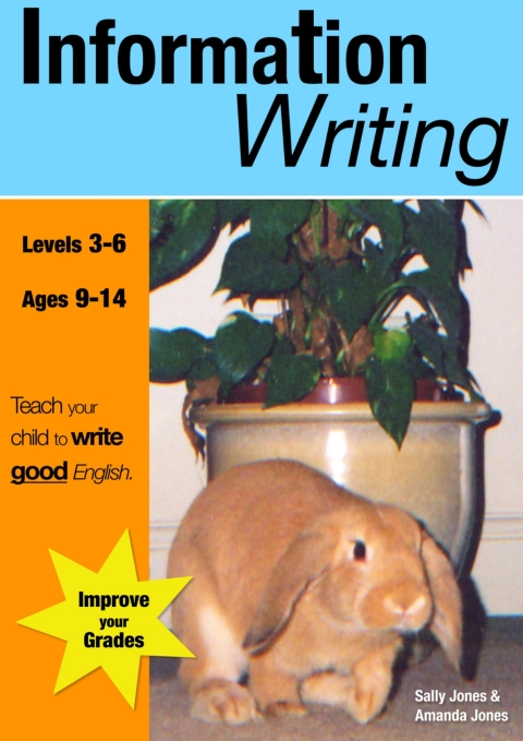 Cover image for book Information Writing
