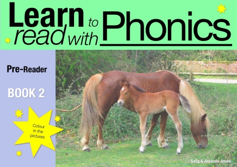 Cover image for book Learn to Read with Phonics Pre Reader Book 2
