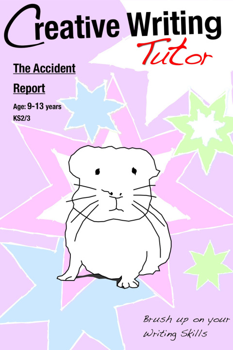 Cover image for book The Accident Report