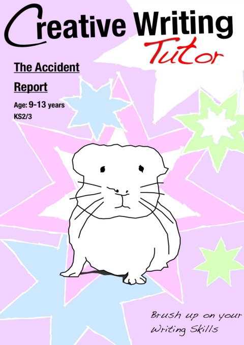 Cover image for book The Accident Report