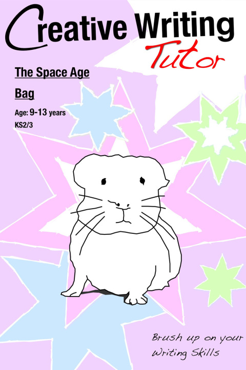 Cover image for book The Space Age Bag