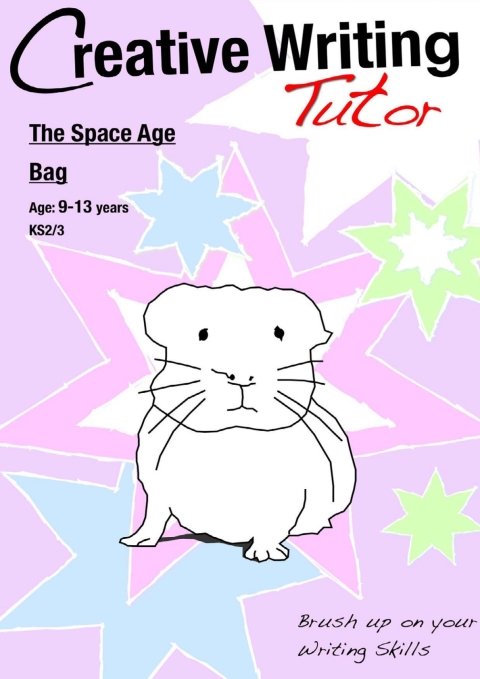 Cover image for book The Space Age Bag