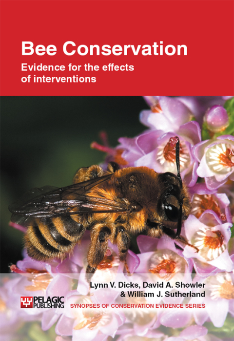Bee Conservation 