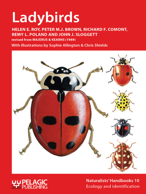 Ladybirds 