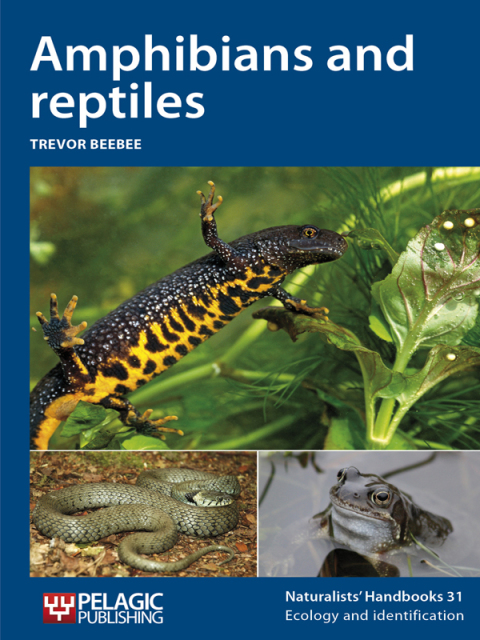 Cover image for book Amphibians and reptiles