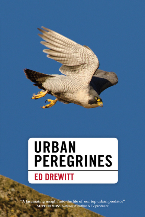 Cover image for book Urban Peregrines