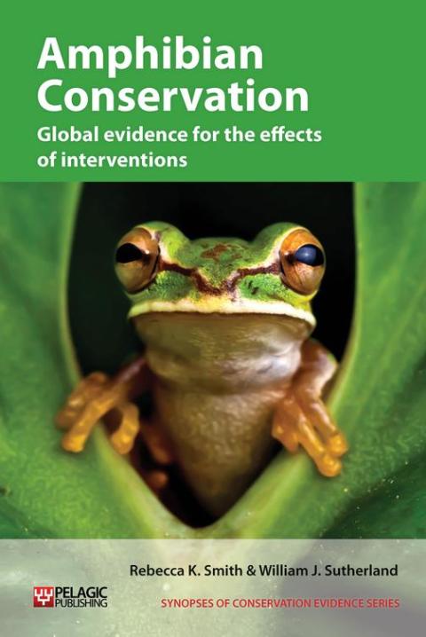 Cover image for book Amphibian Conservation