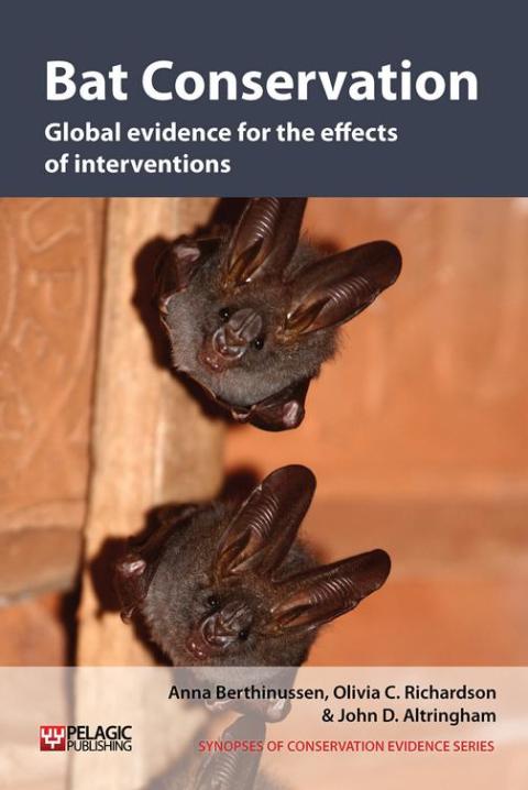 Bat Conservation 