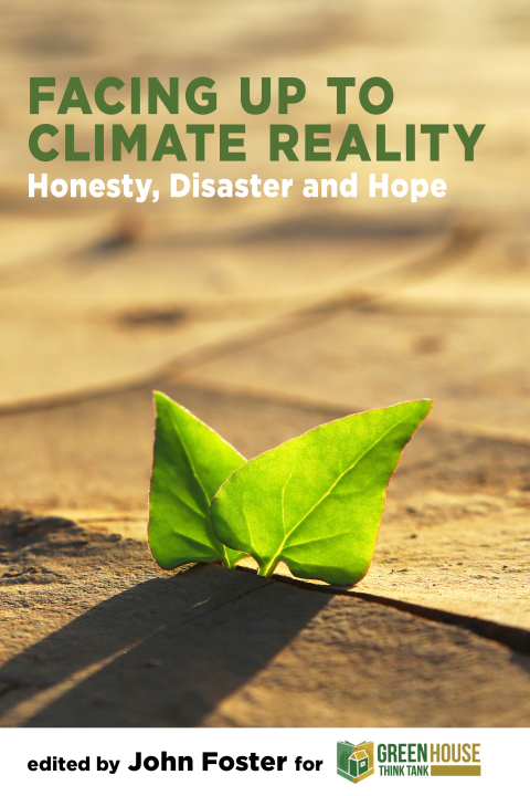 Cover image for book Facing Up to Climate Reality