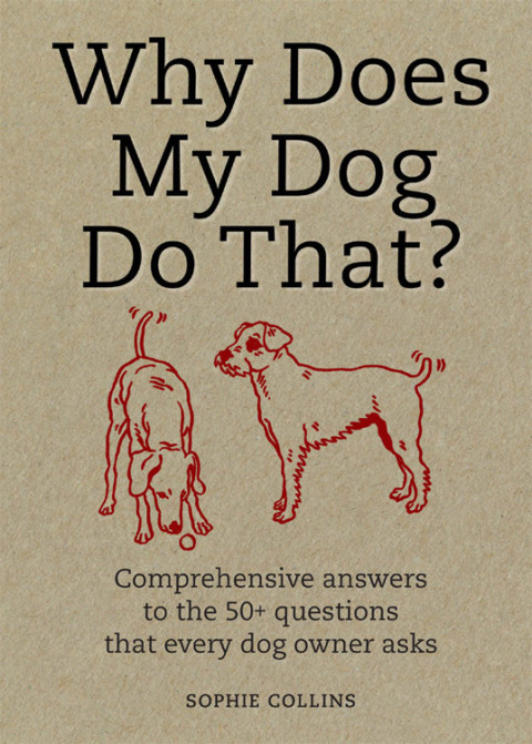 Cover image for book Why Does My Dog Do That?