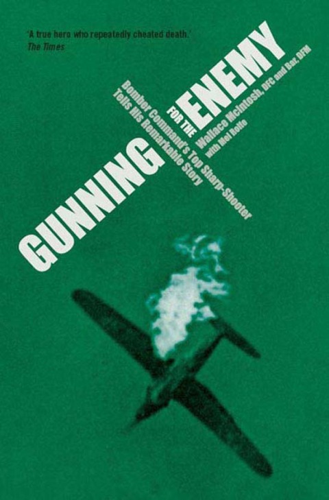 Cover image for book Gunning for the Enemy