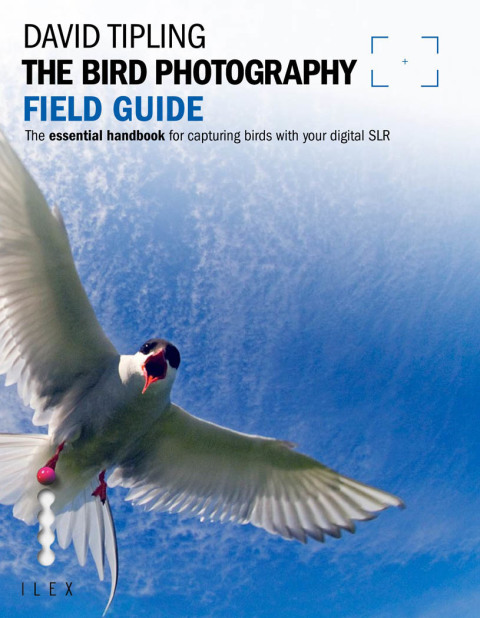 Cover image for book The Bird Photography Field Guide