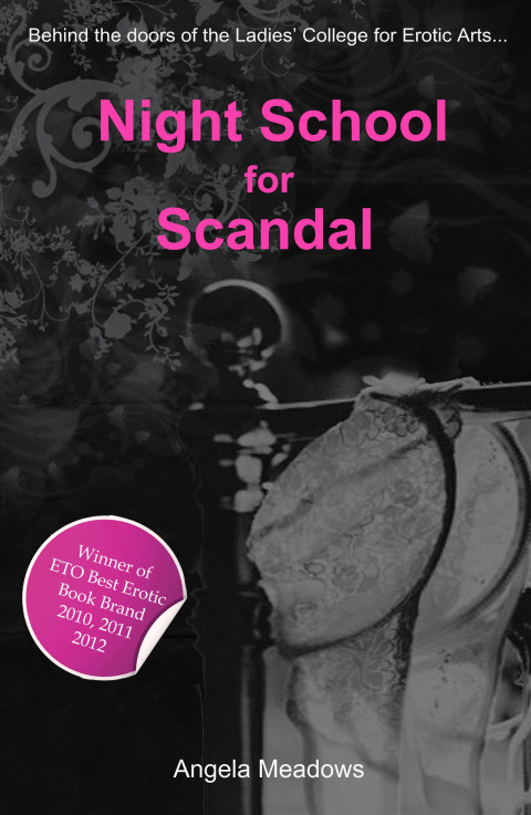 Cover image for book Night School for Scandal