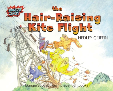 Cover image for book The Hair-Raising Kite Flight