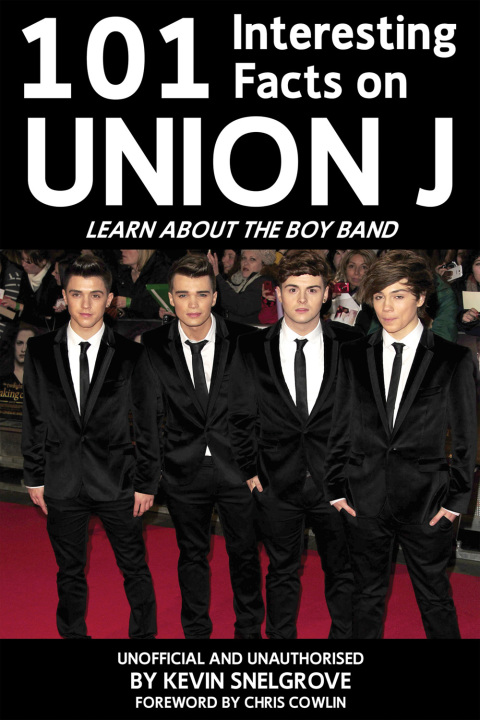 Cover image for book 101 Interesting Facts on Union J