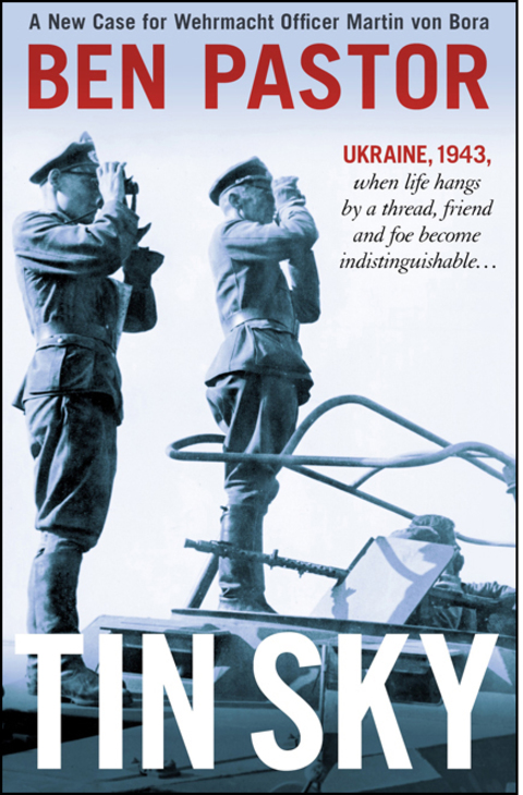 Cover image for book Tin Sky