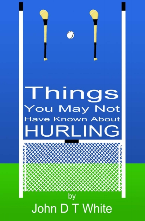 Cover image for book 101 Things You May Not Have Known About Hurling