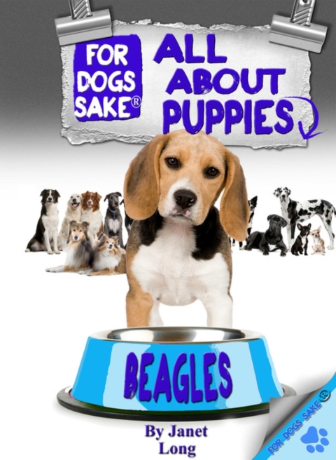 Cover image for book All About Beagle Puppies
