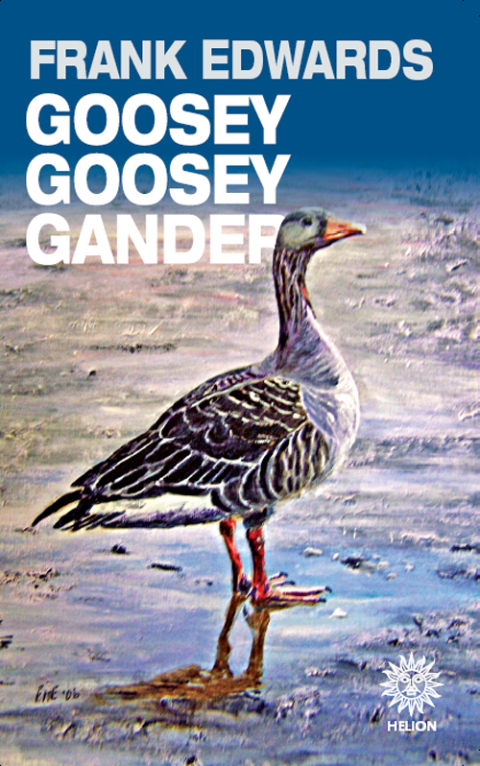 Cover image for book Goosey Goosey Gander