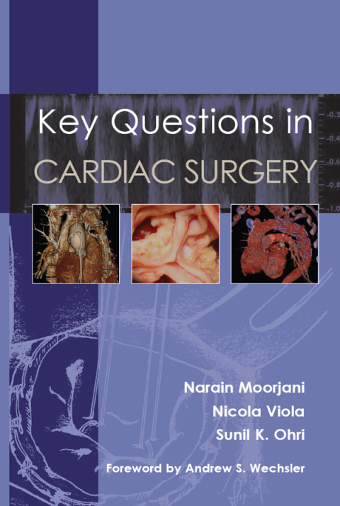 Cover image for book Key Questions in Cardiac Surgery