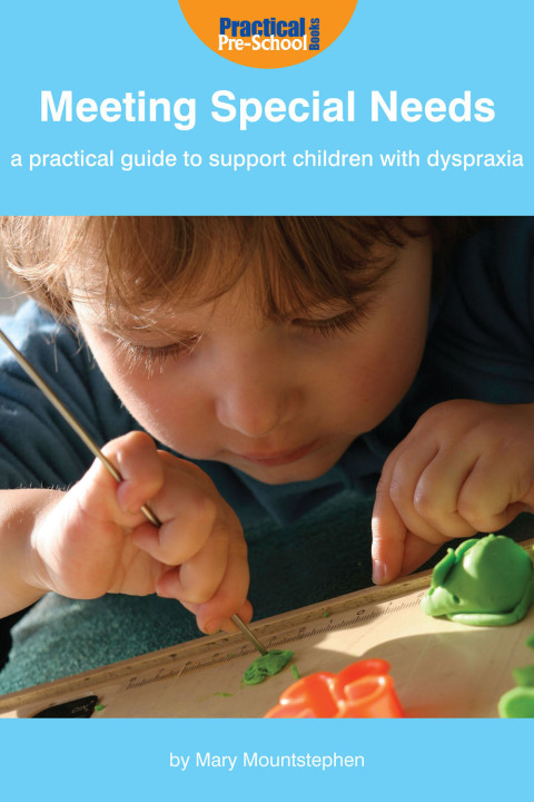 Cover image for book Meeting Special Needs: A practical guide to support children with Dyspraxia