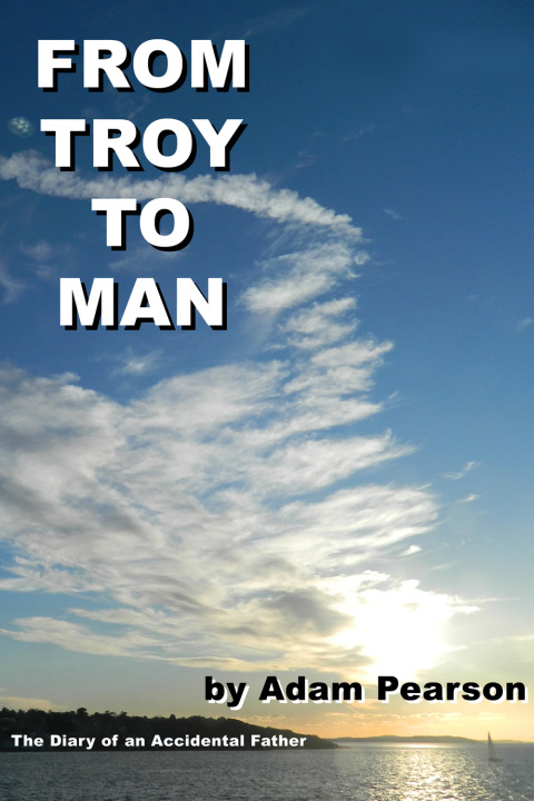 Cover image for book From Troy to Man