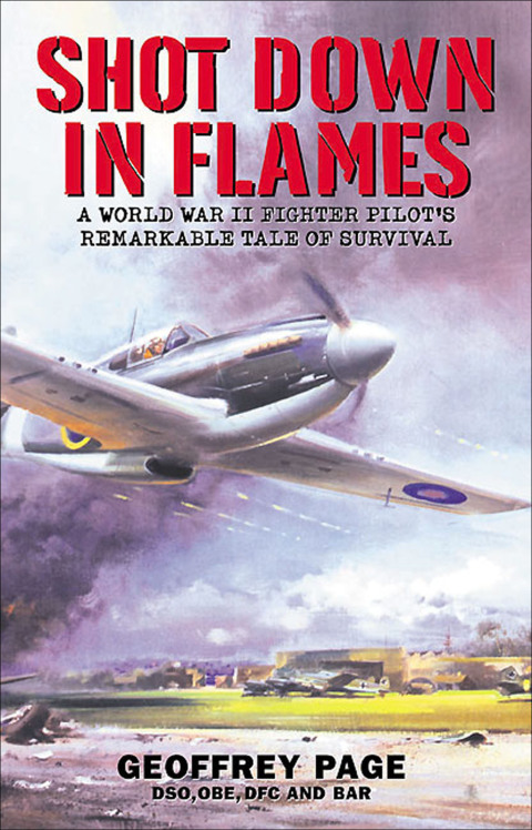 Cover image for book Shot Down in Flames