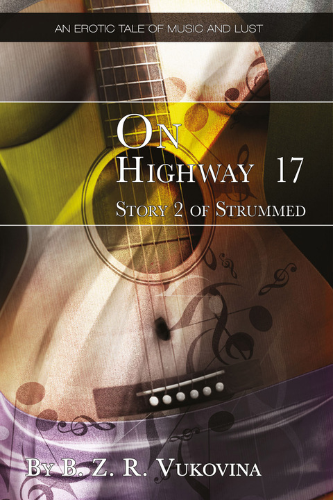 Cover image for book On Highway 17
