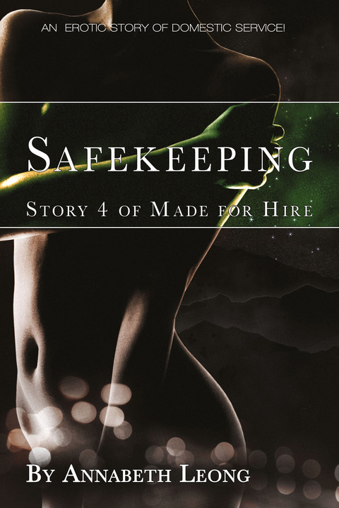 Cover image for book Safe Keeping