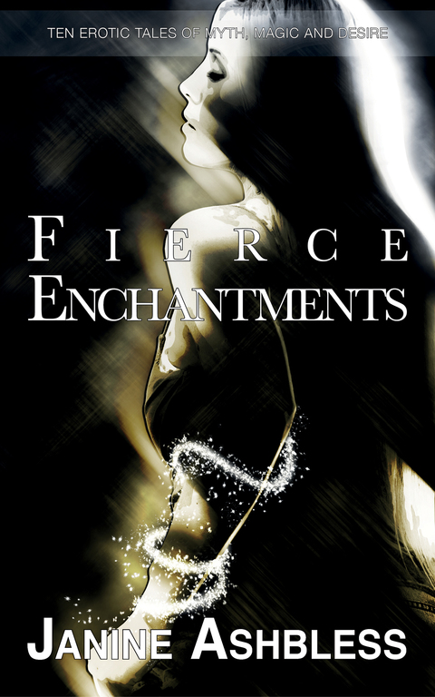 Cover image for book Fierce Enchantments