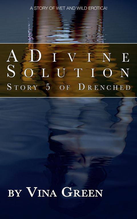 Cover image for book A Divine Solution