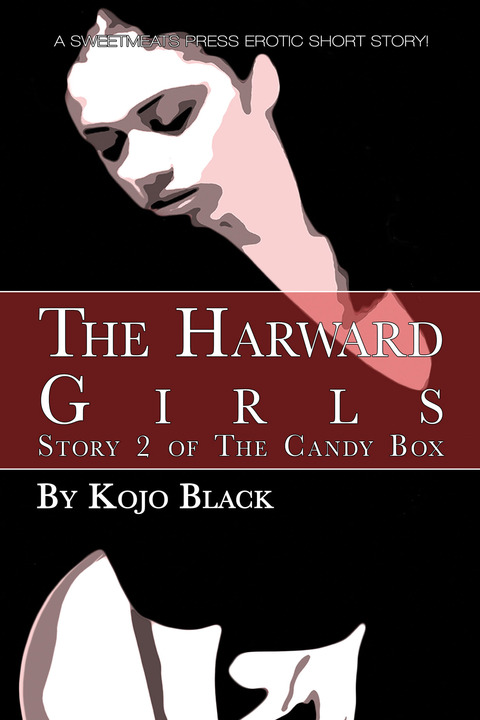 Cover image for book The Harward Girls