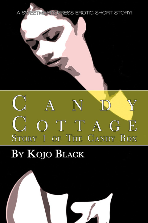 Cover image for book Candy Cottage