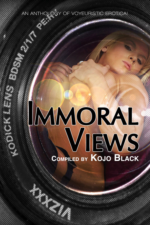 Cover image for book Immoral Views