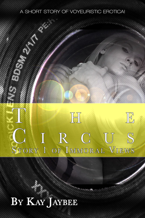 Cover image for book The Circus