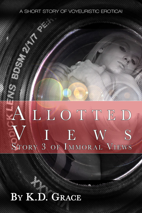 Cover image for book Allotted Views