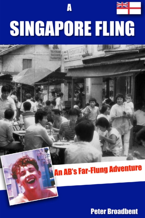Cover image for book A Singapore Fling